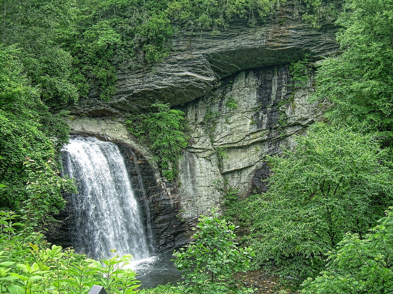 waterfall looking glass falls pisgah forest free photo