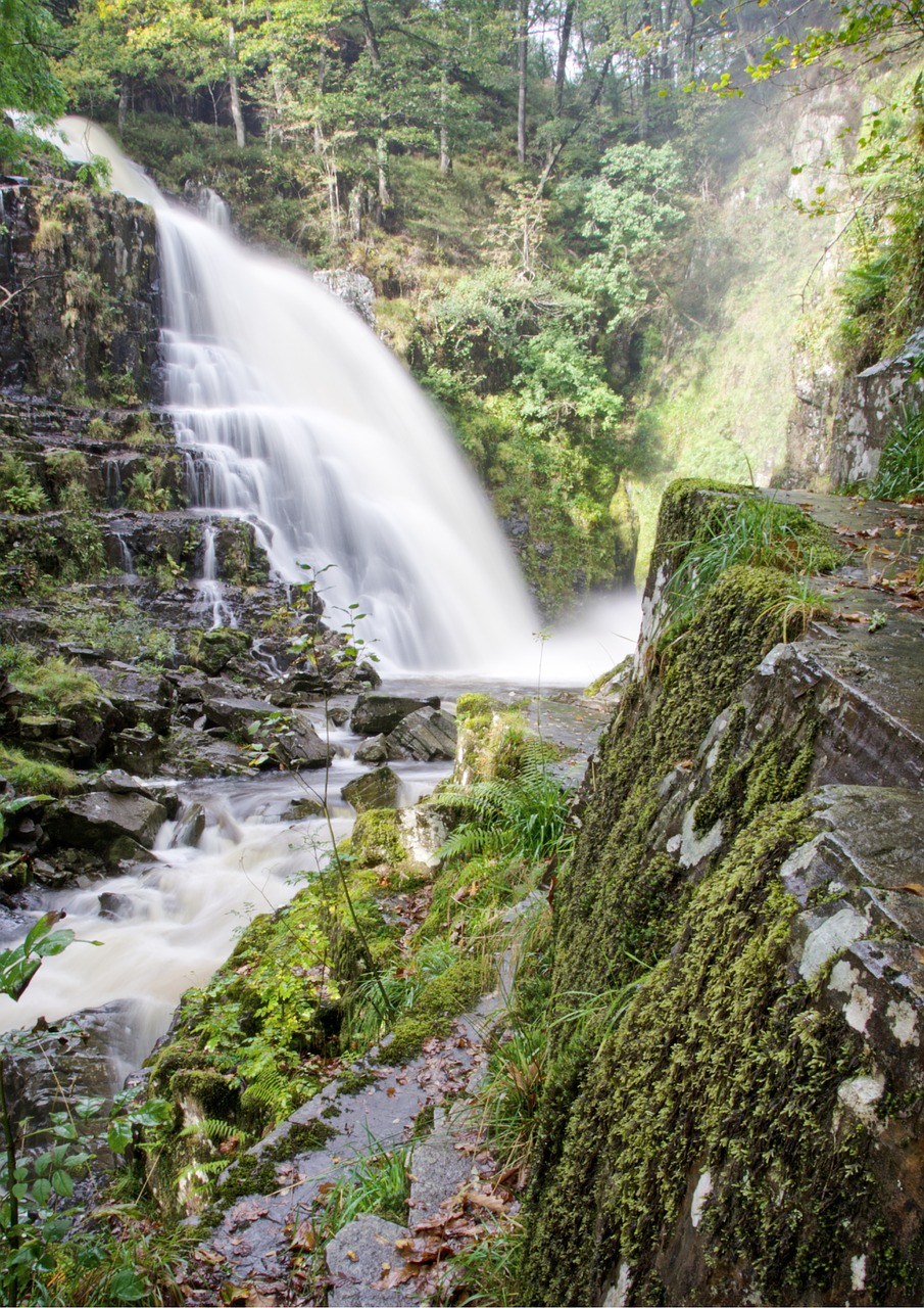 waterfall water forest free photo