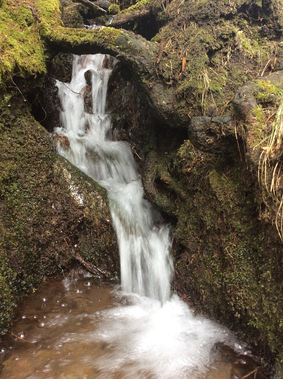 waterfall water nature free photo