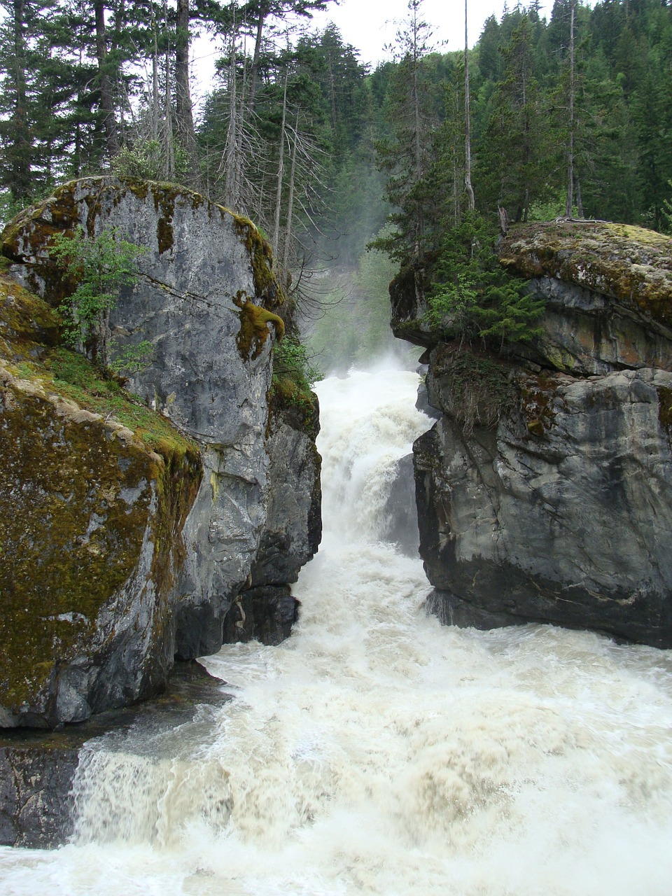 waterfall river wilderness free photo