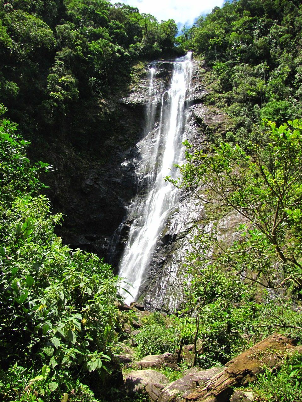 waterfall salto morato serra do mar free photo