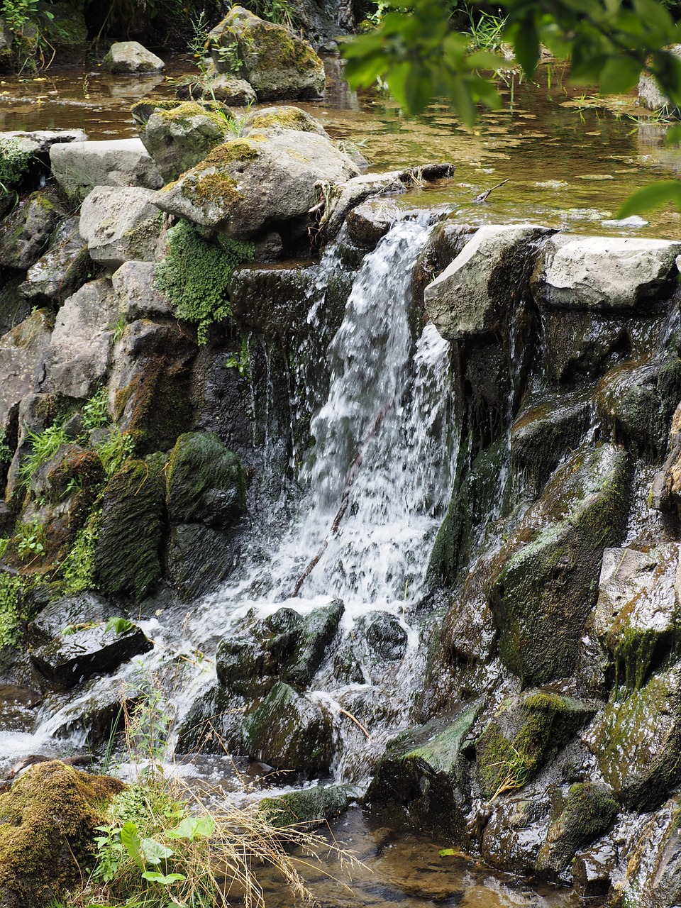 waterfall bach park free photo