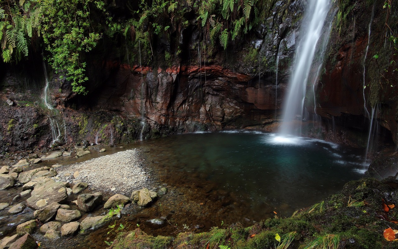 waterfall greenery forest free photo