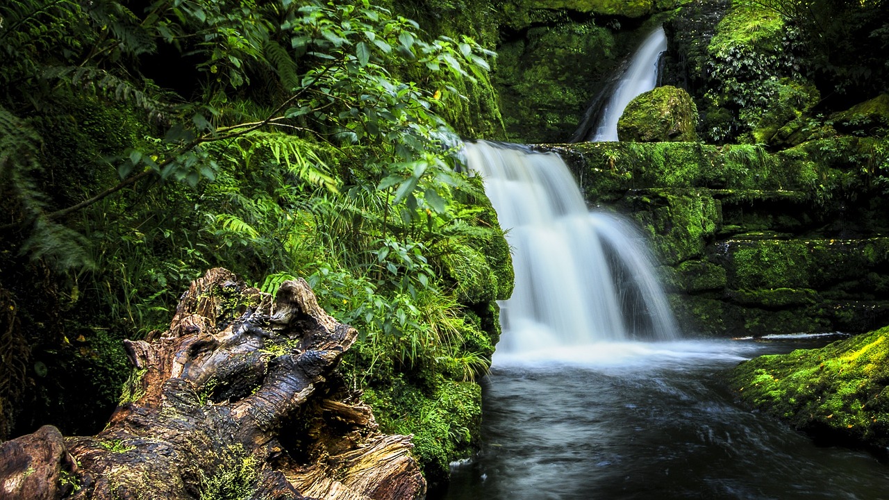 waterfall bush catlins free photo