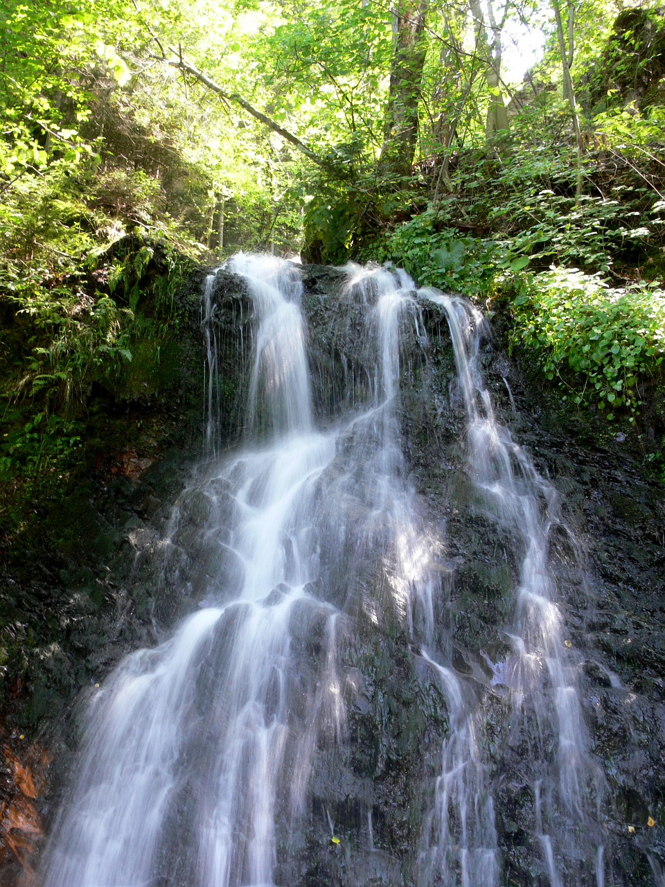 waterfall nature water river gorge free photo