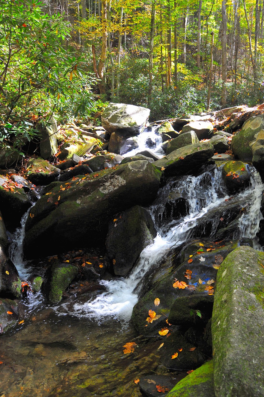 waterfall stream river free photo