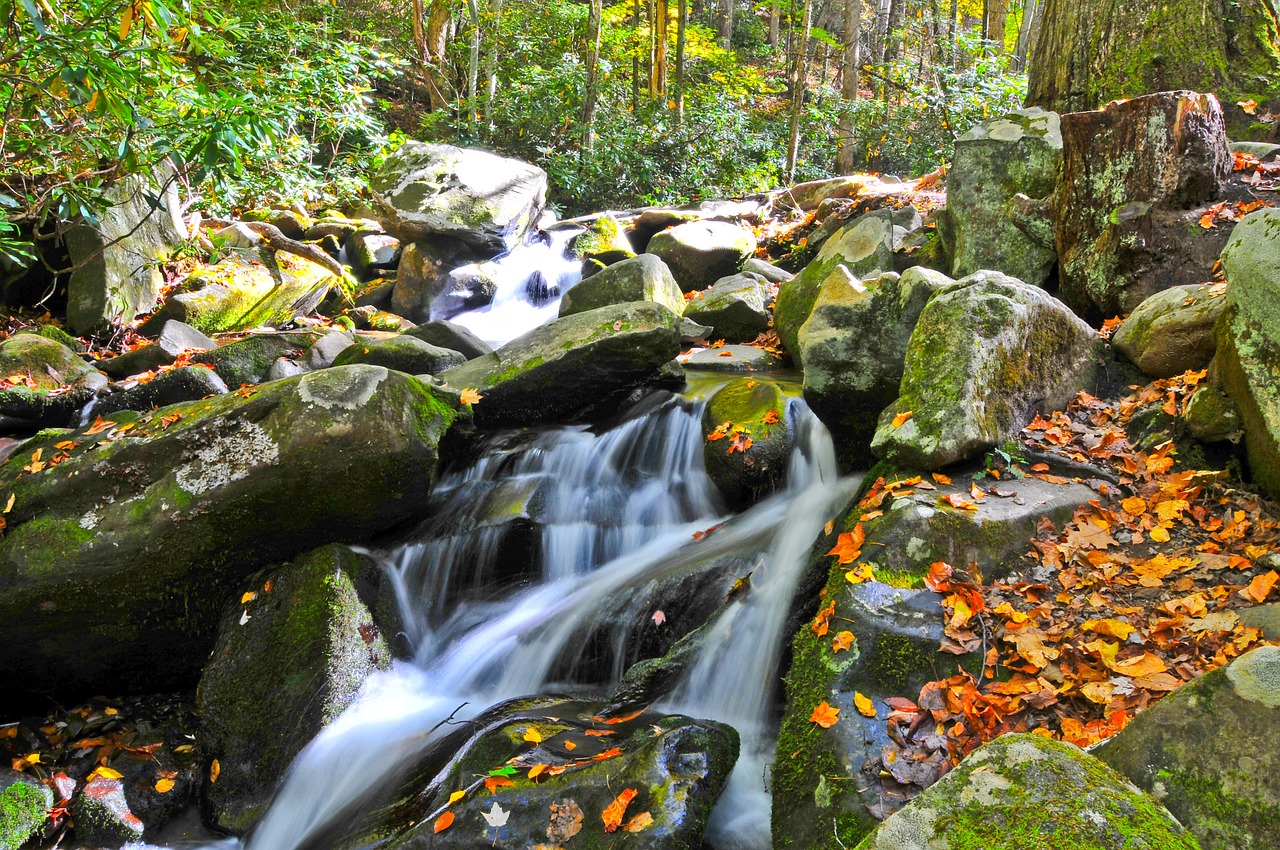 waterfall stream river free photo