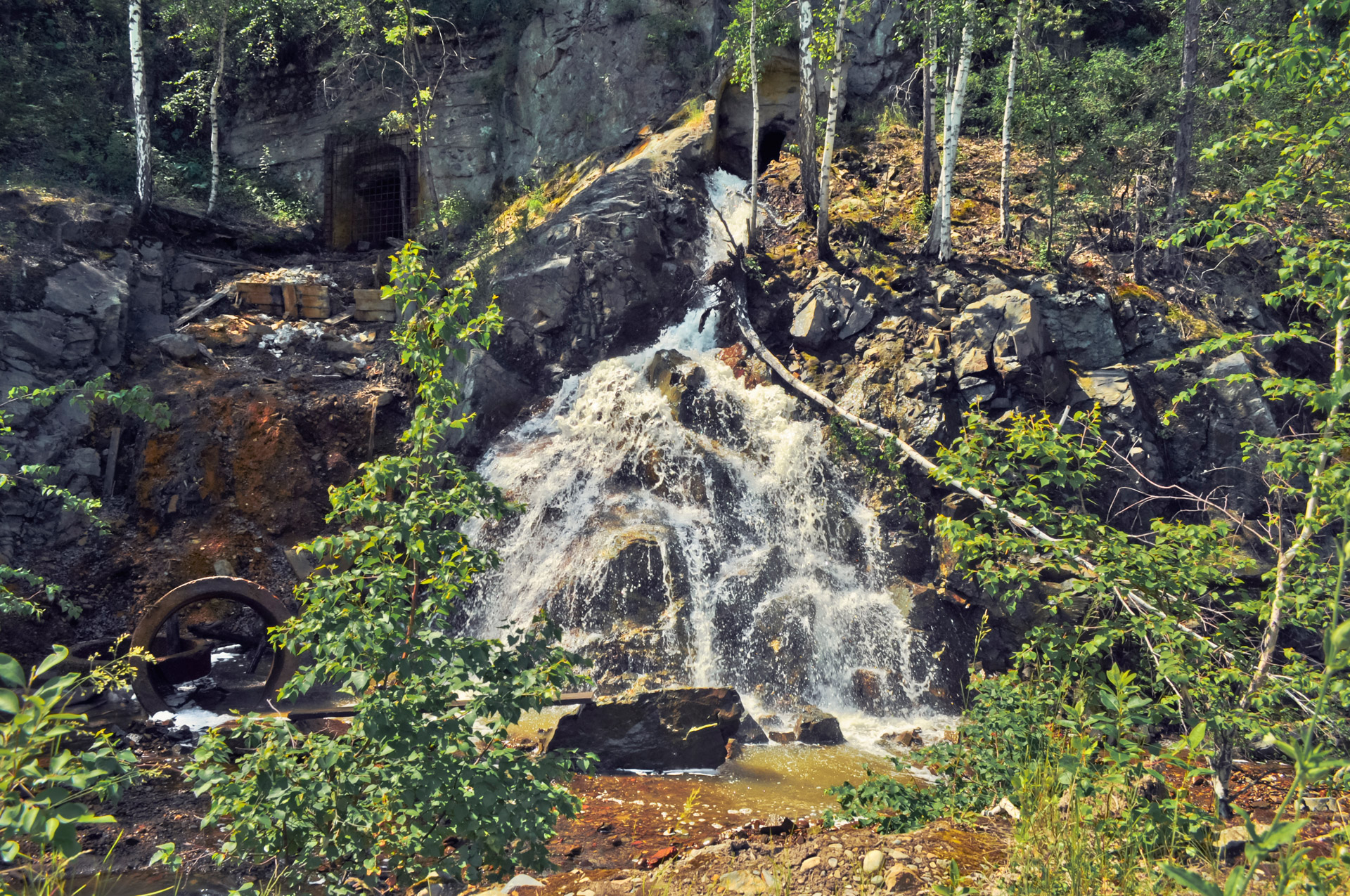 waterfall nature forest free photo