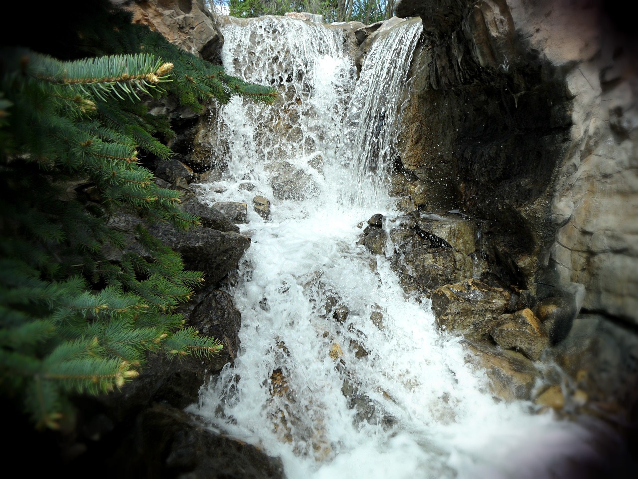 waterfall water nature free photo