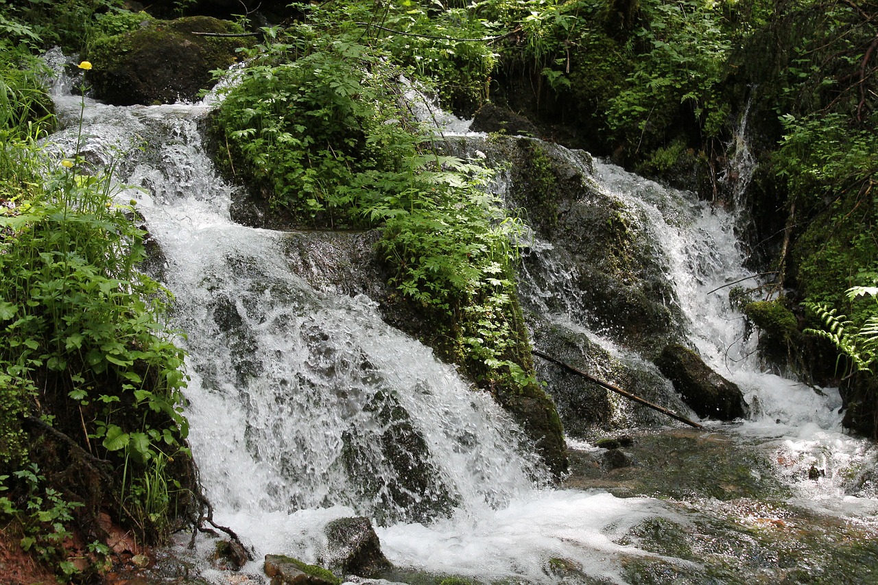 waterfall stream nature free photo