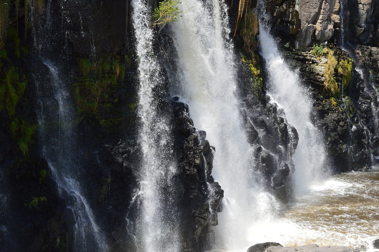 waterfall water river free photo