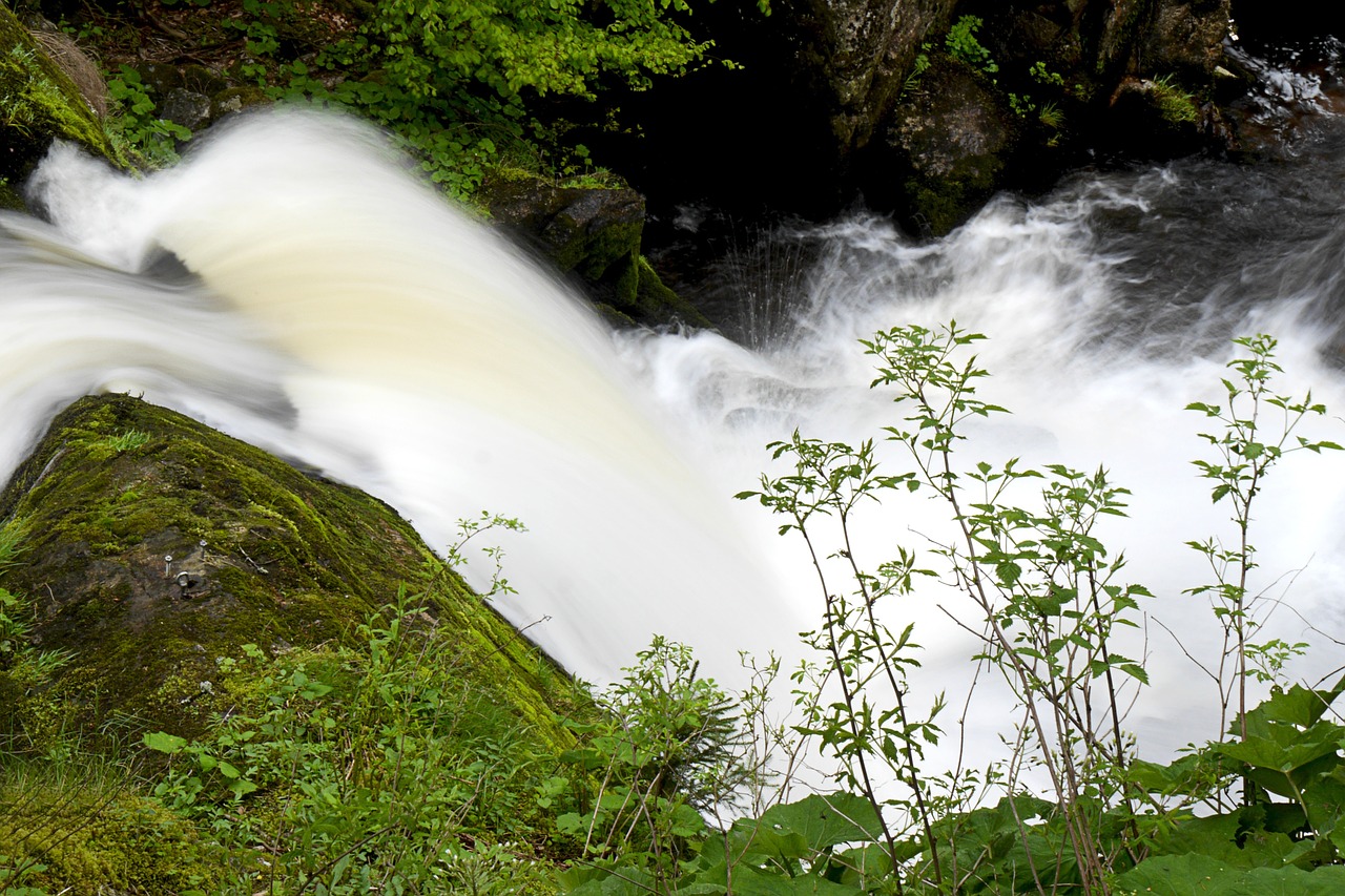 waterfall triberg force of nature free photo