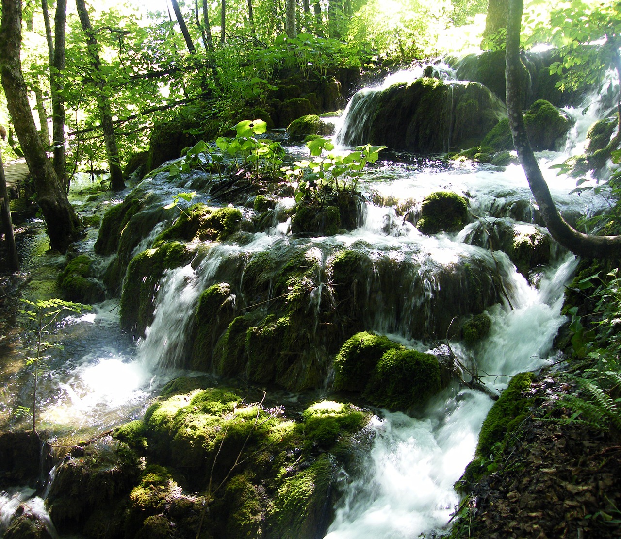 waterfall croatia plittvice free photo