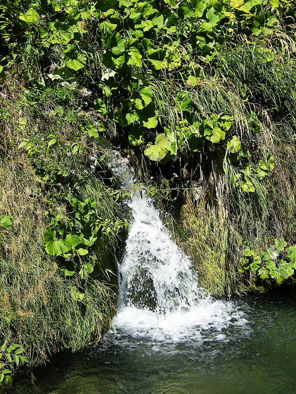 waterfall croatia plittvice free photo