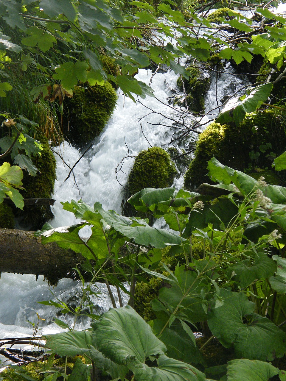 waterfall croatia plittvice free photo