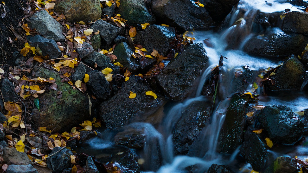 waterfall leaves water free photo