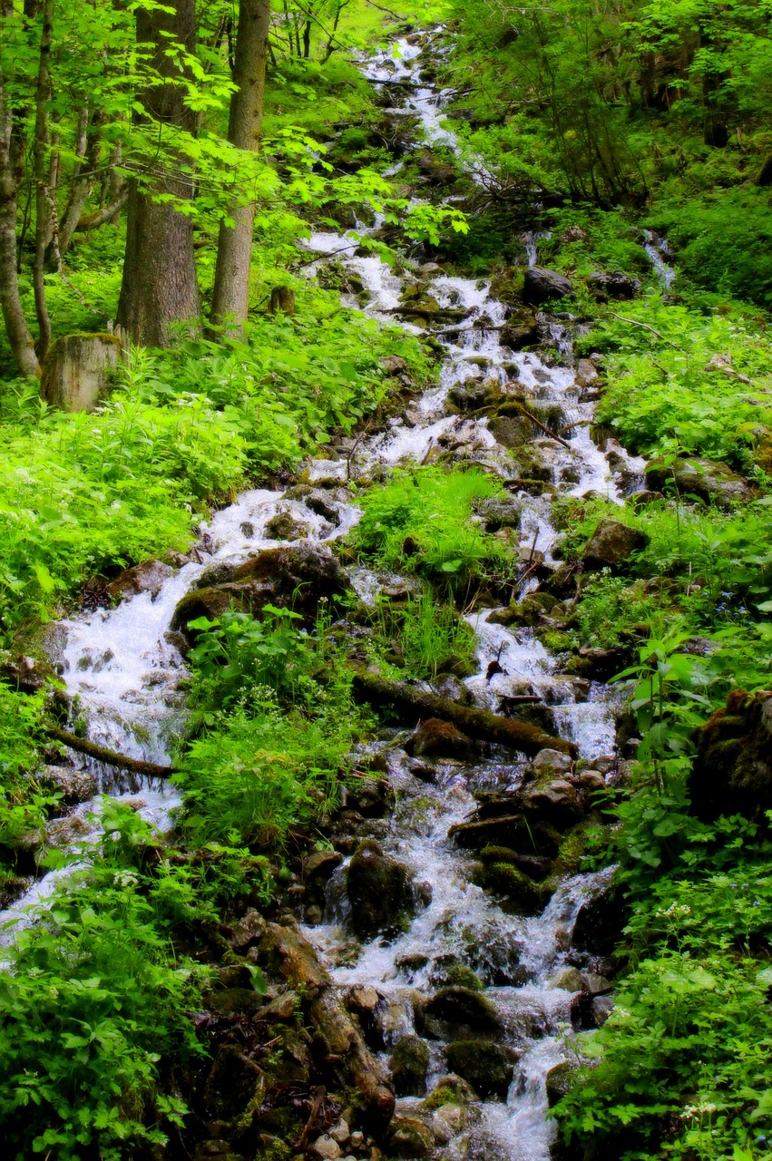 waterfall water clear free photo