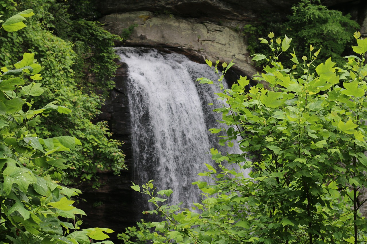 waterfall nature green free photo