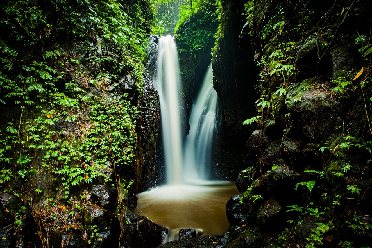 waterfall nature forest free photo