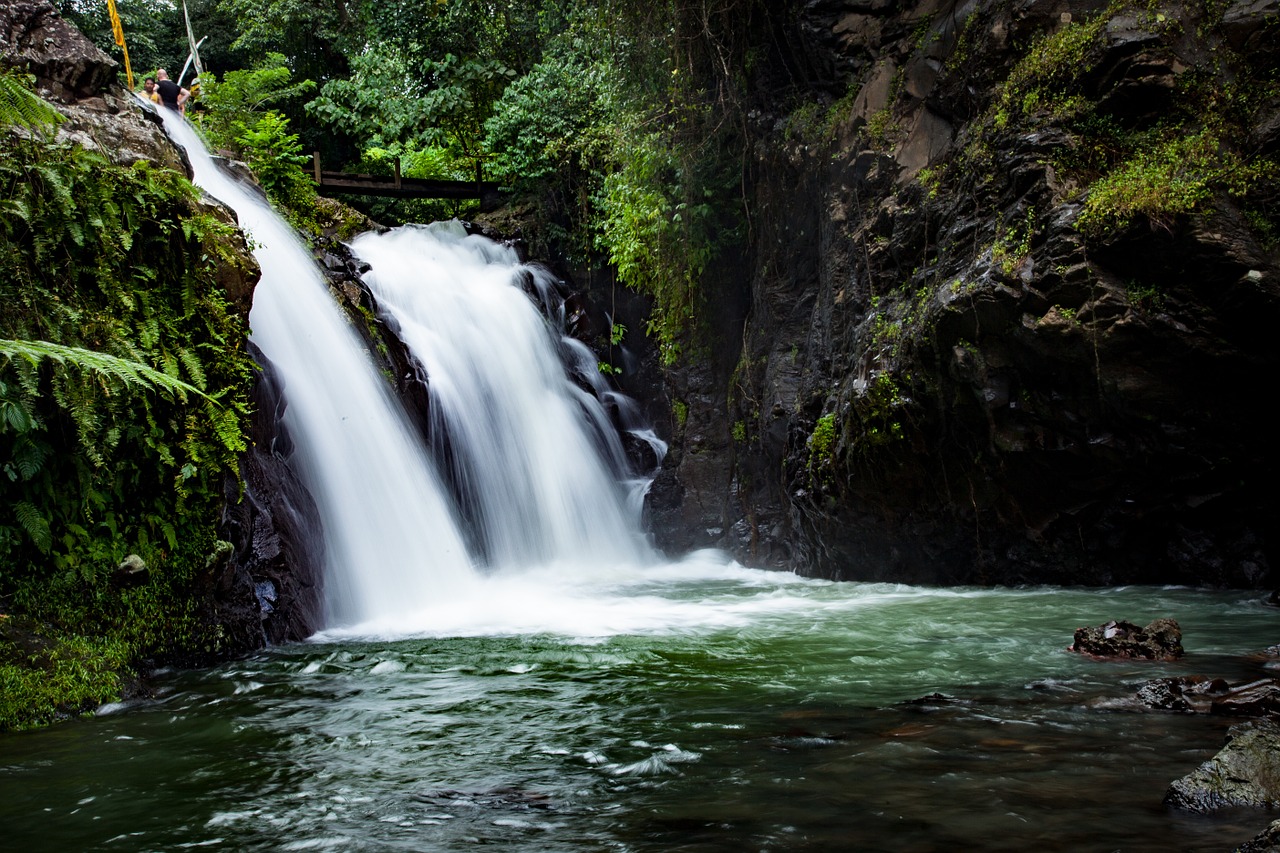 waterfall nature forest free photo