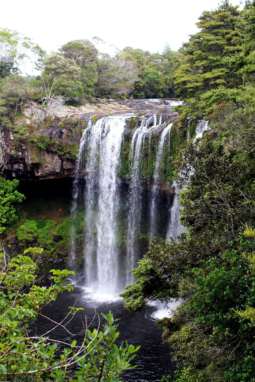 waterfall new zealand nature free photo