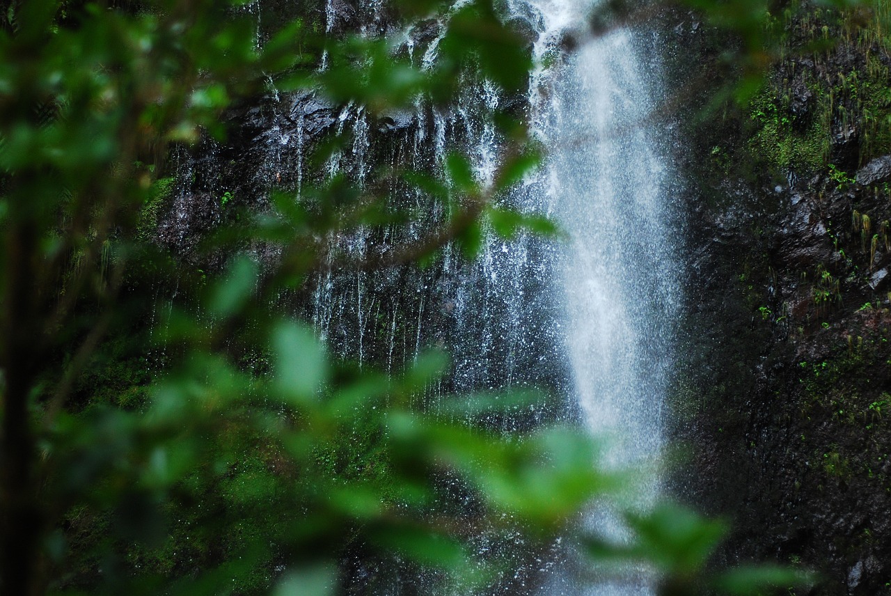 waterfall greenery mountain free photo