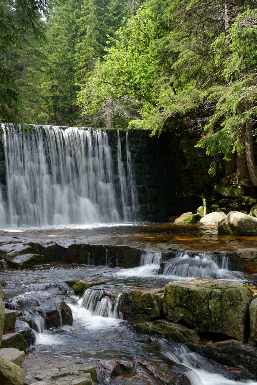 waterfall water forest free photo