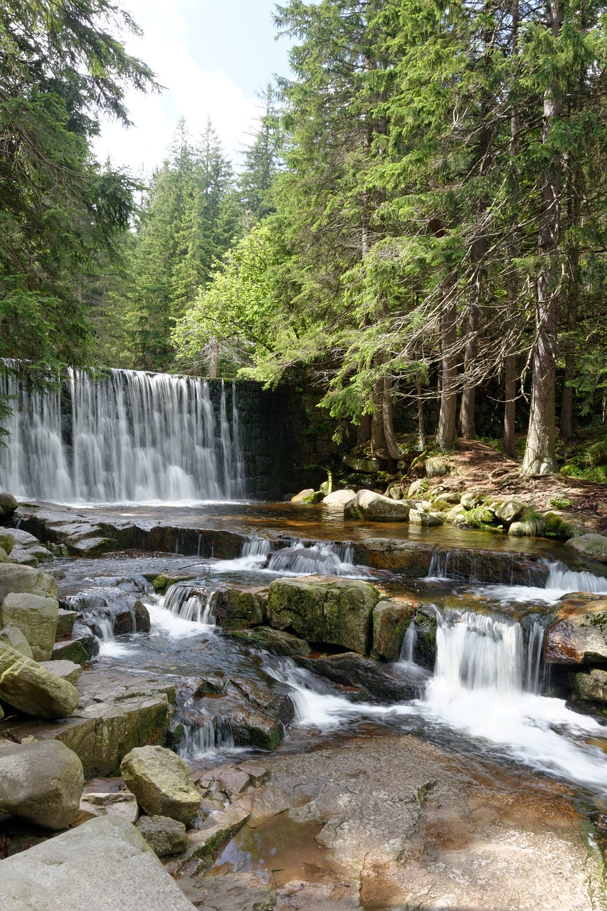 waterfall torrent forest free photo