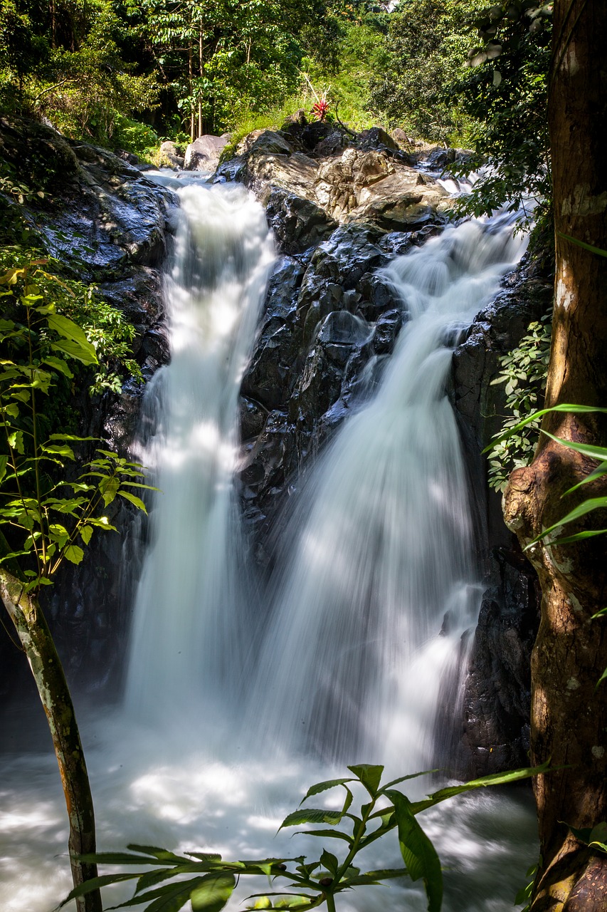 waterfall nature forest free photo