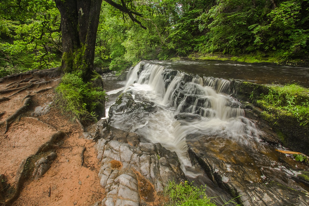 waterfall river nature free photo