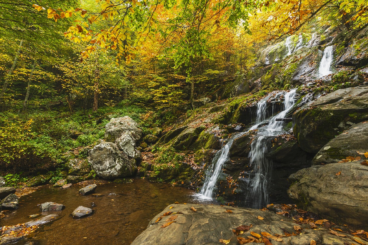 waterfall autumn wilderness free photo