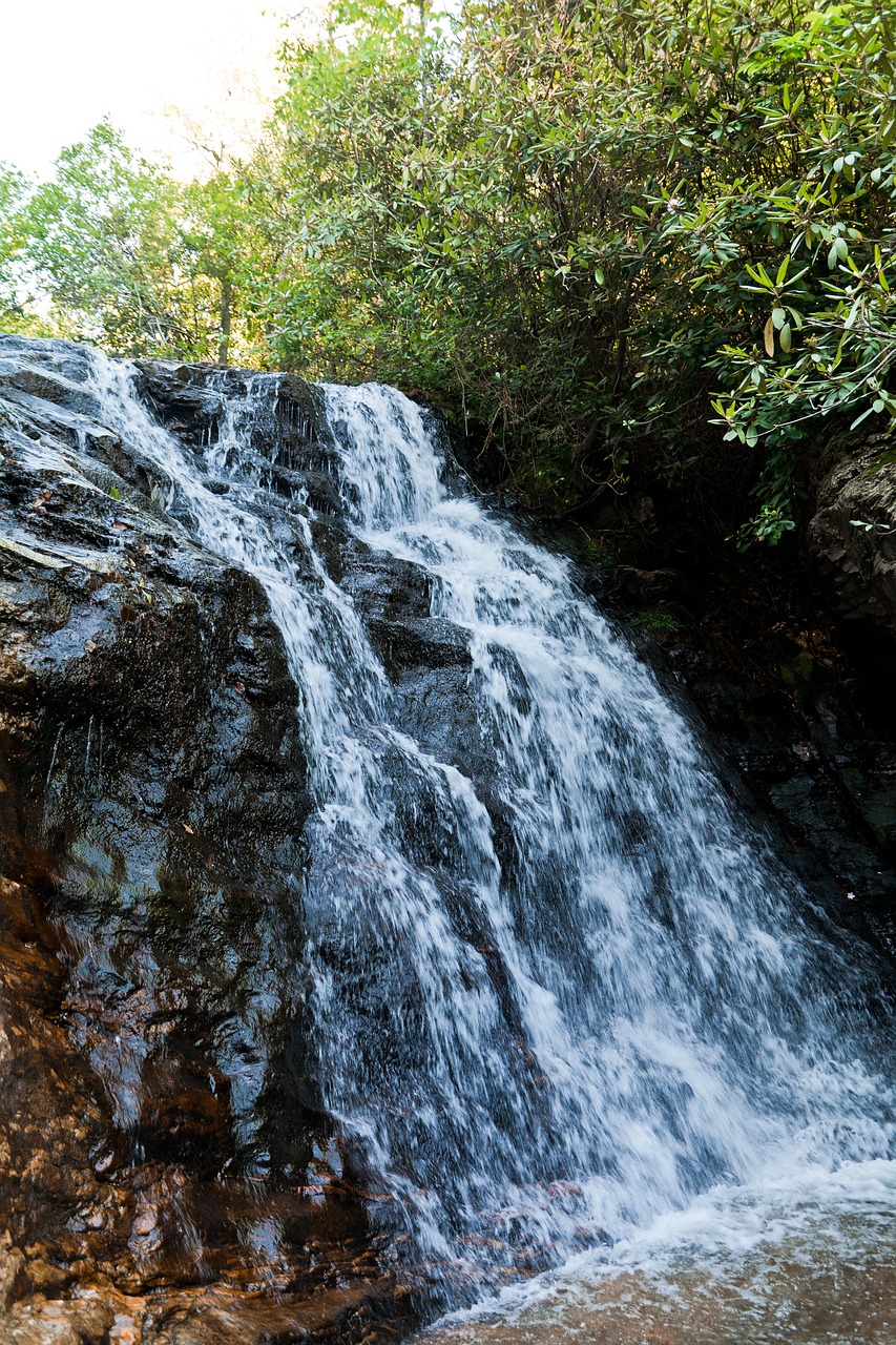 waterfall mountain river free photo