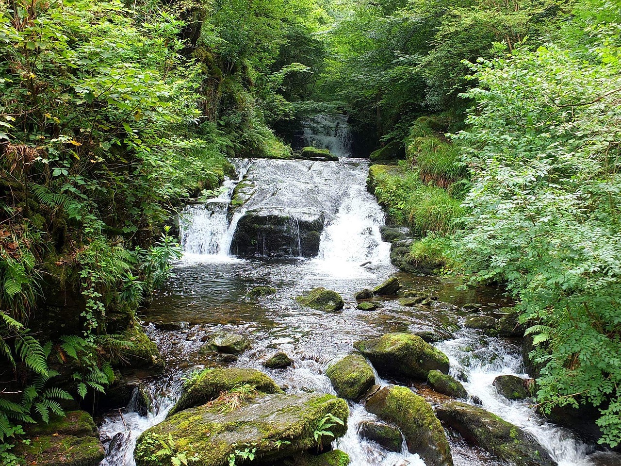 waterfall river stream free photo