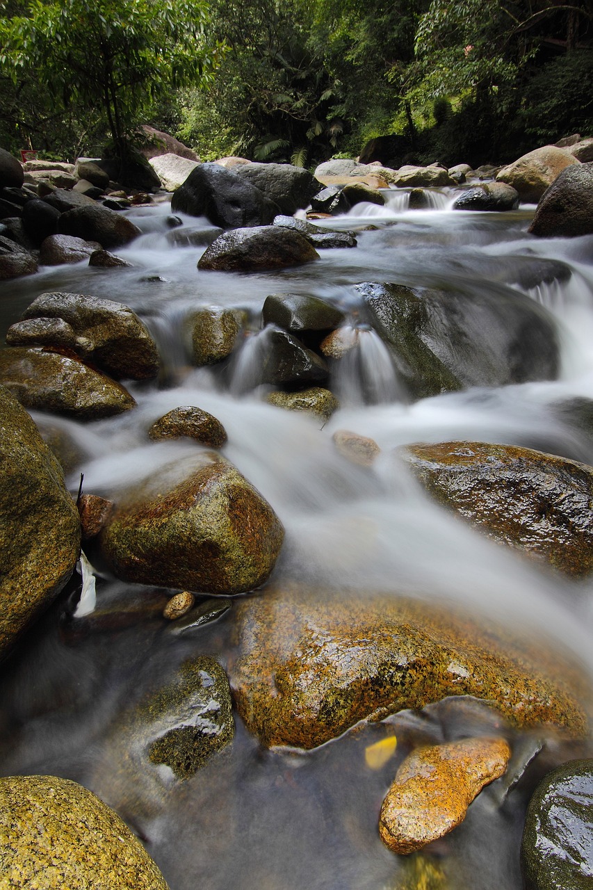 waterfall sekayu green free photo