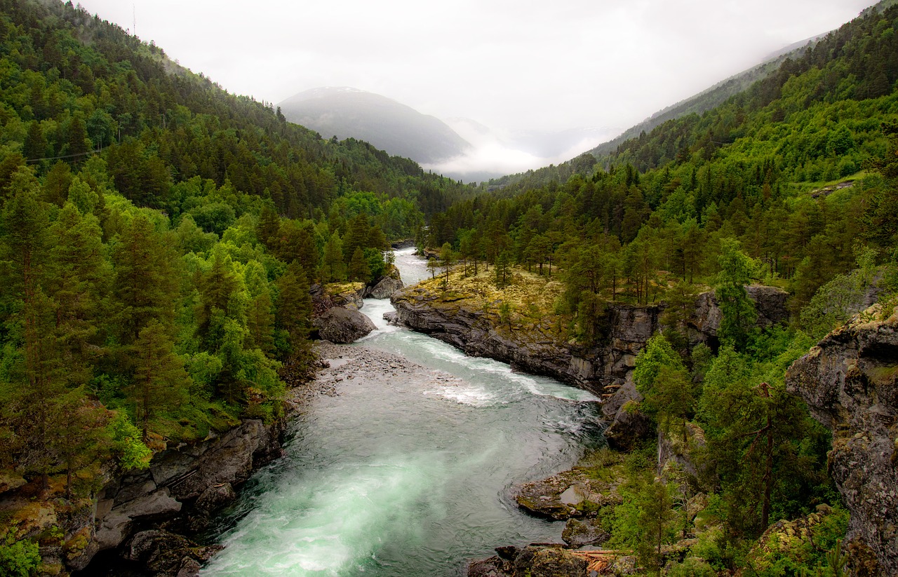 waterfall river stream free photo