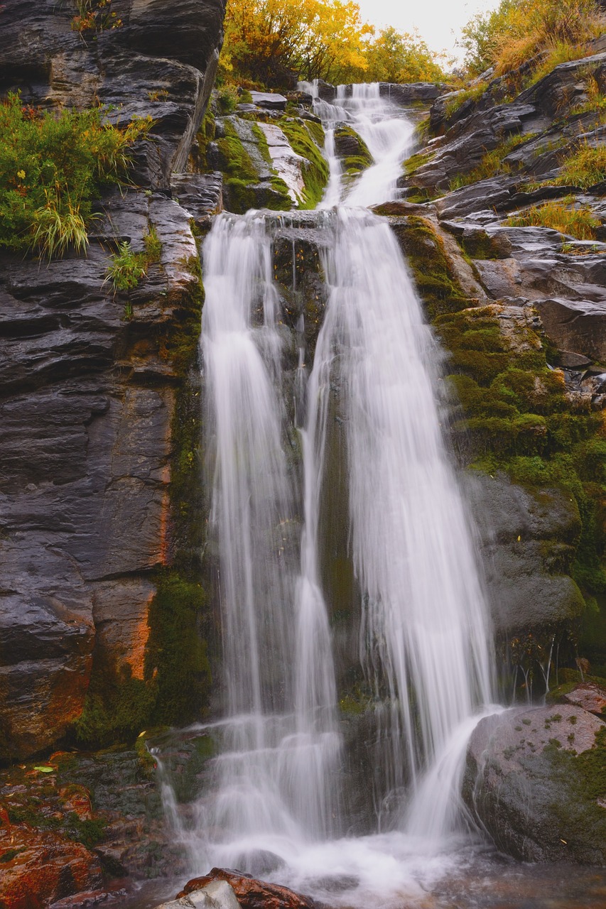 waterfall moss water free photo