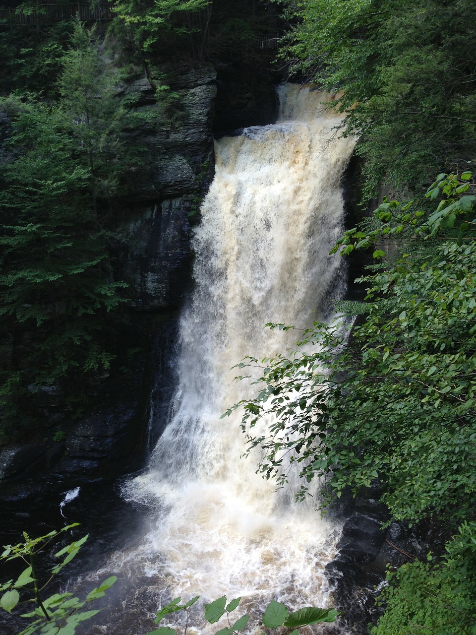 waterfall bushkillfalls pennsylvania free photo