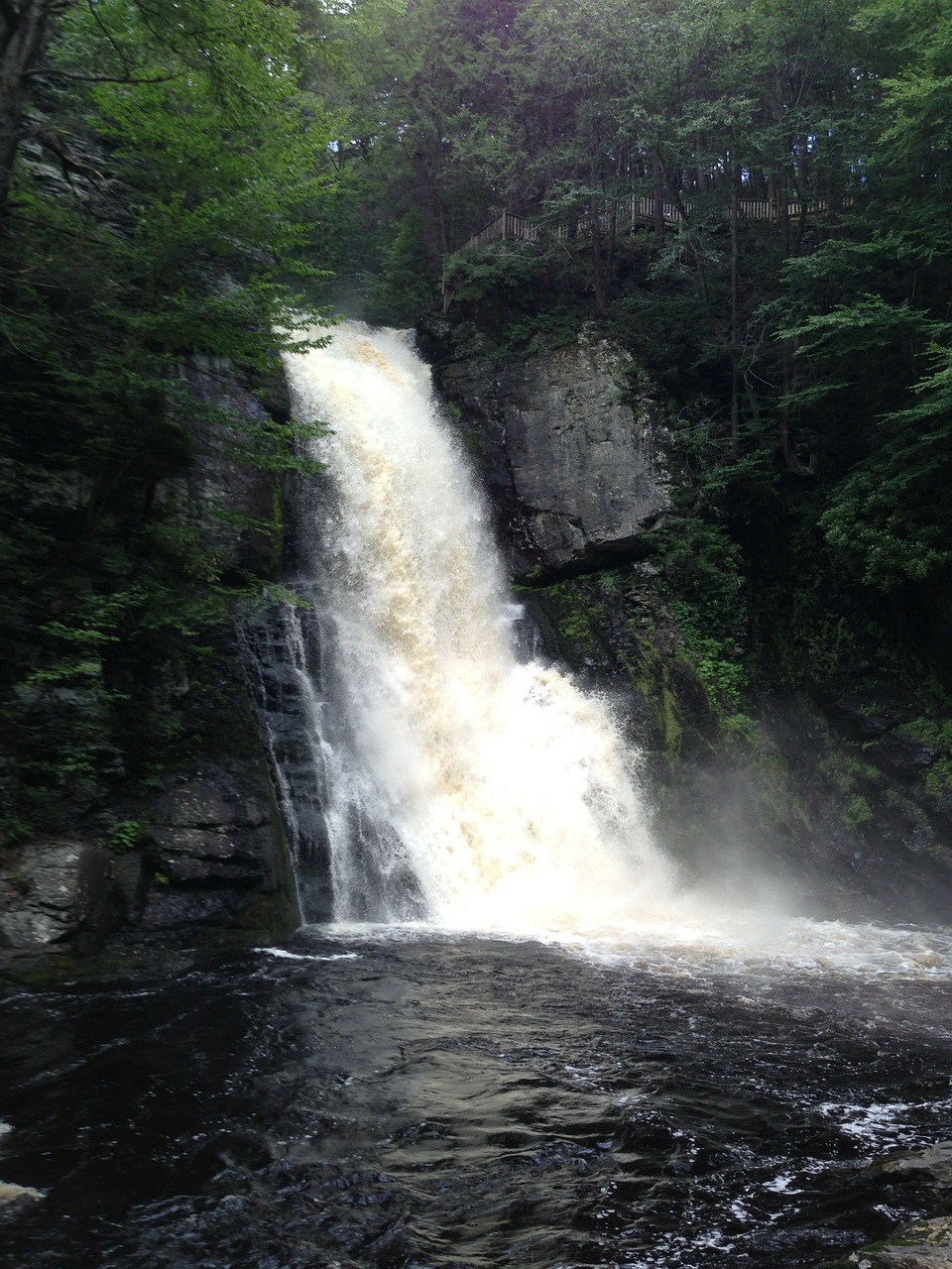 waterfall bushkillfalls pennsylvania free photo