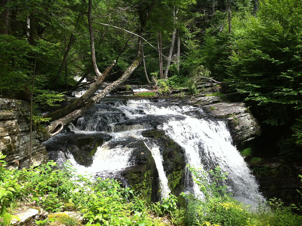 waterfall water forest free photo