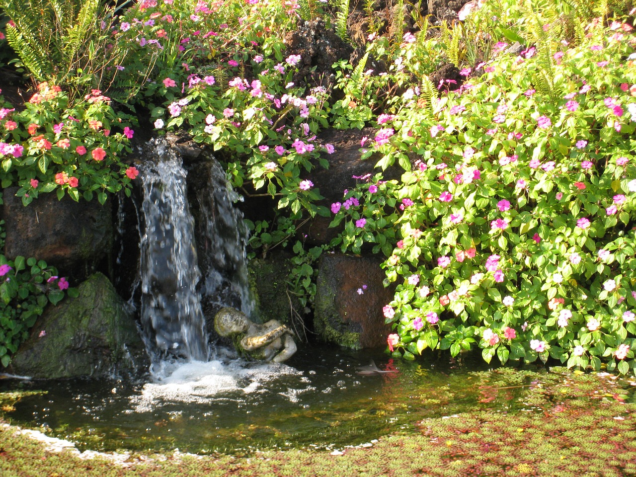 waterfall pond nature free photo