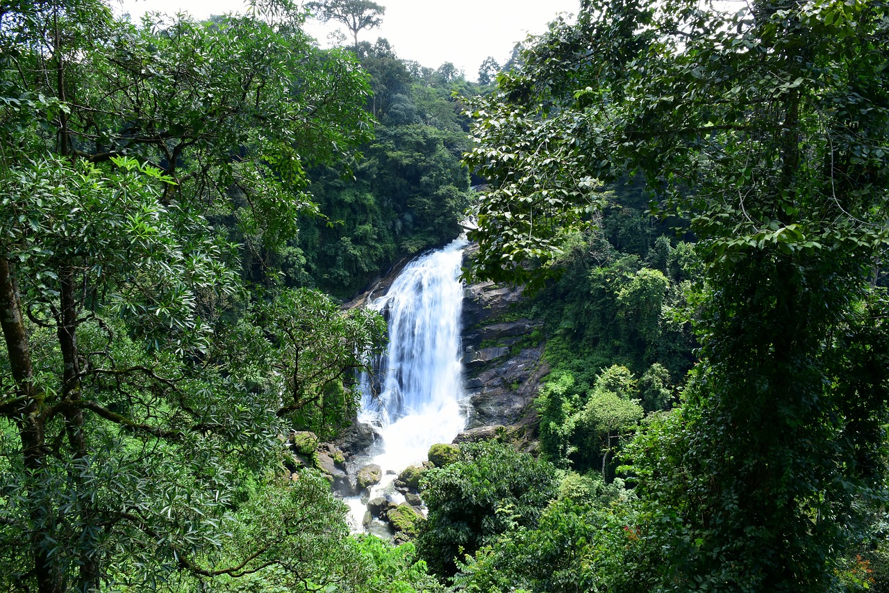 waterfall india forest free photo
