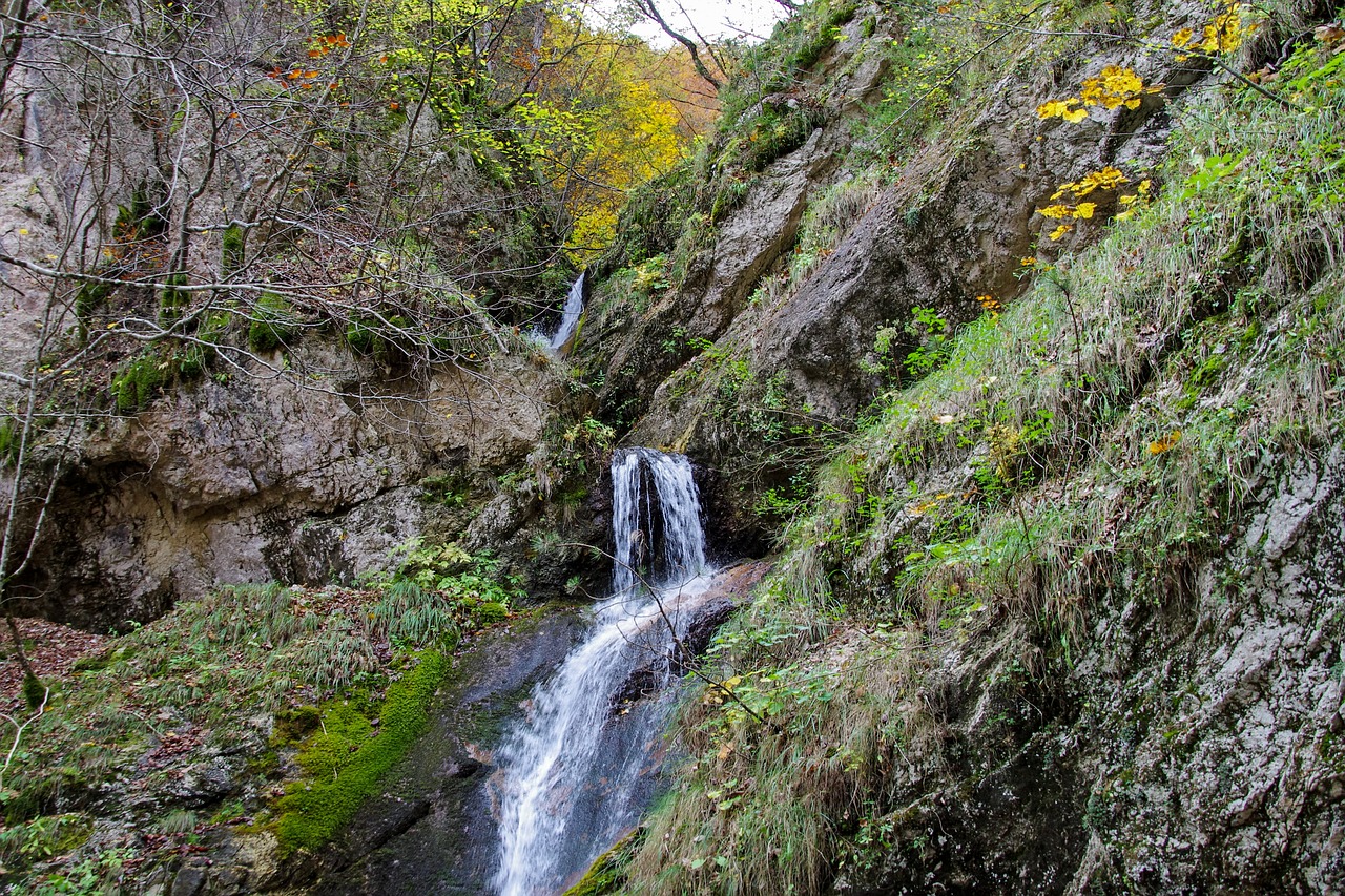 waterfall stream water free photo