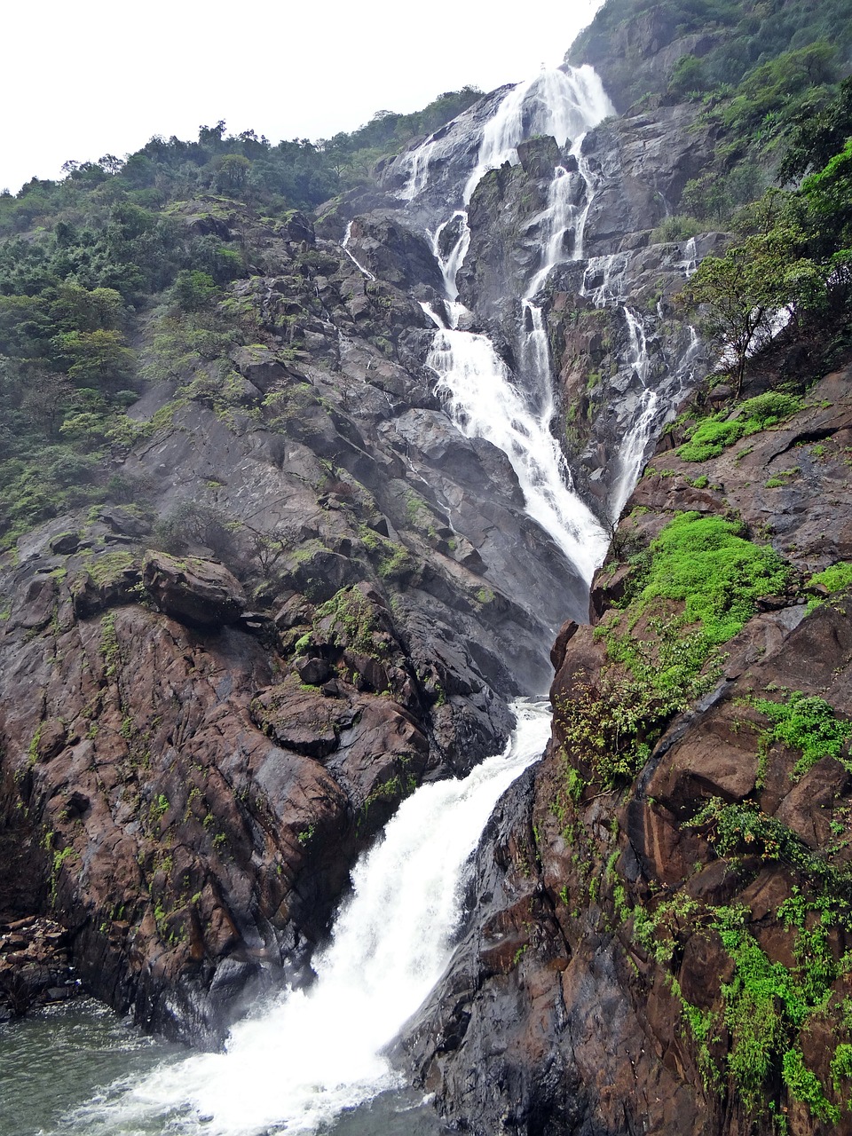 waterfall dudhsagar dudh sagar free photo