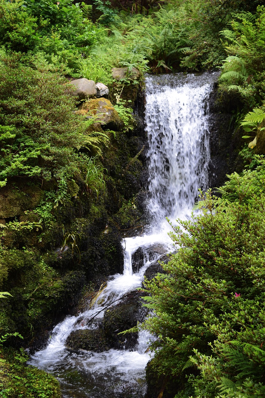 waterfall forest nature free photo