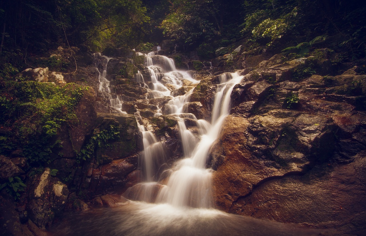 waterfall jungle travel free photo