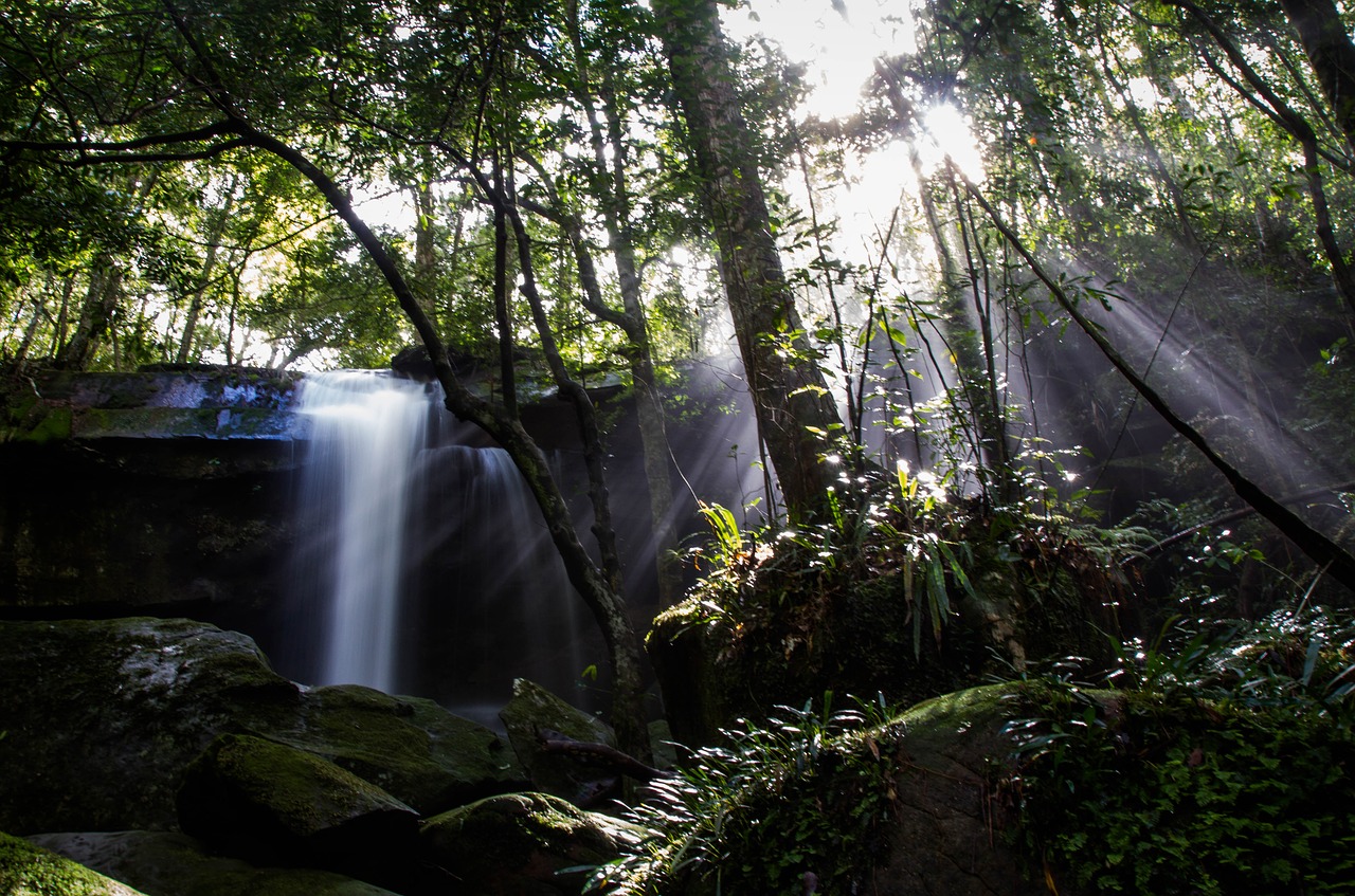 waterfall tree thailand free photo