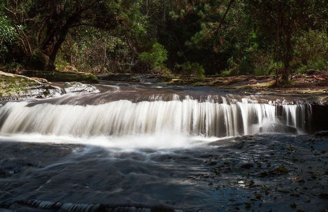 waterfall tree water free photo