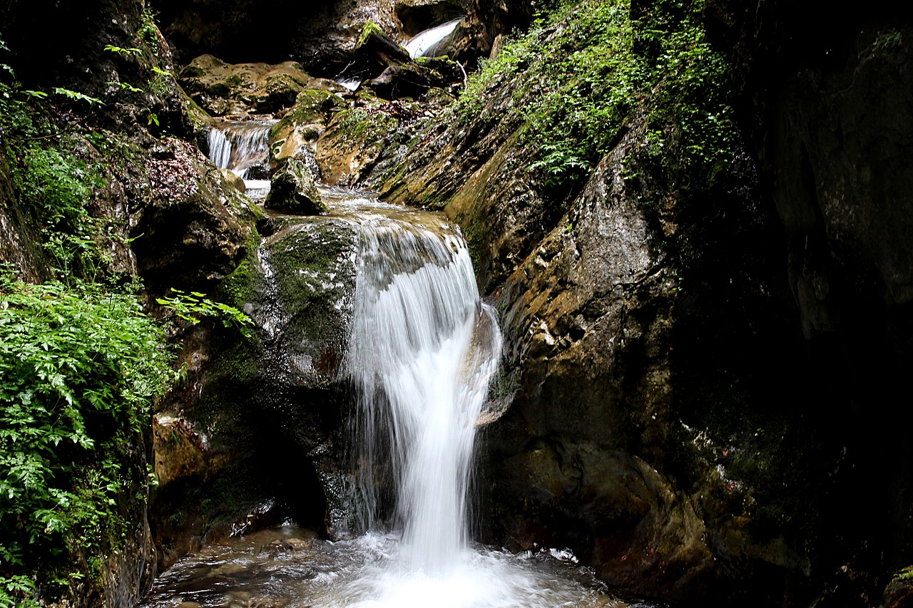 waterfall forest nature free photo