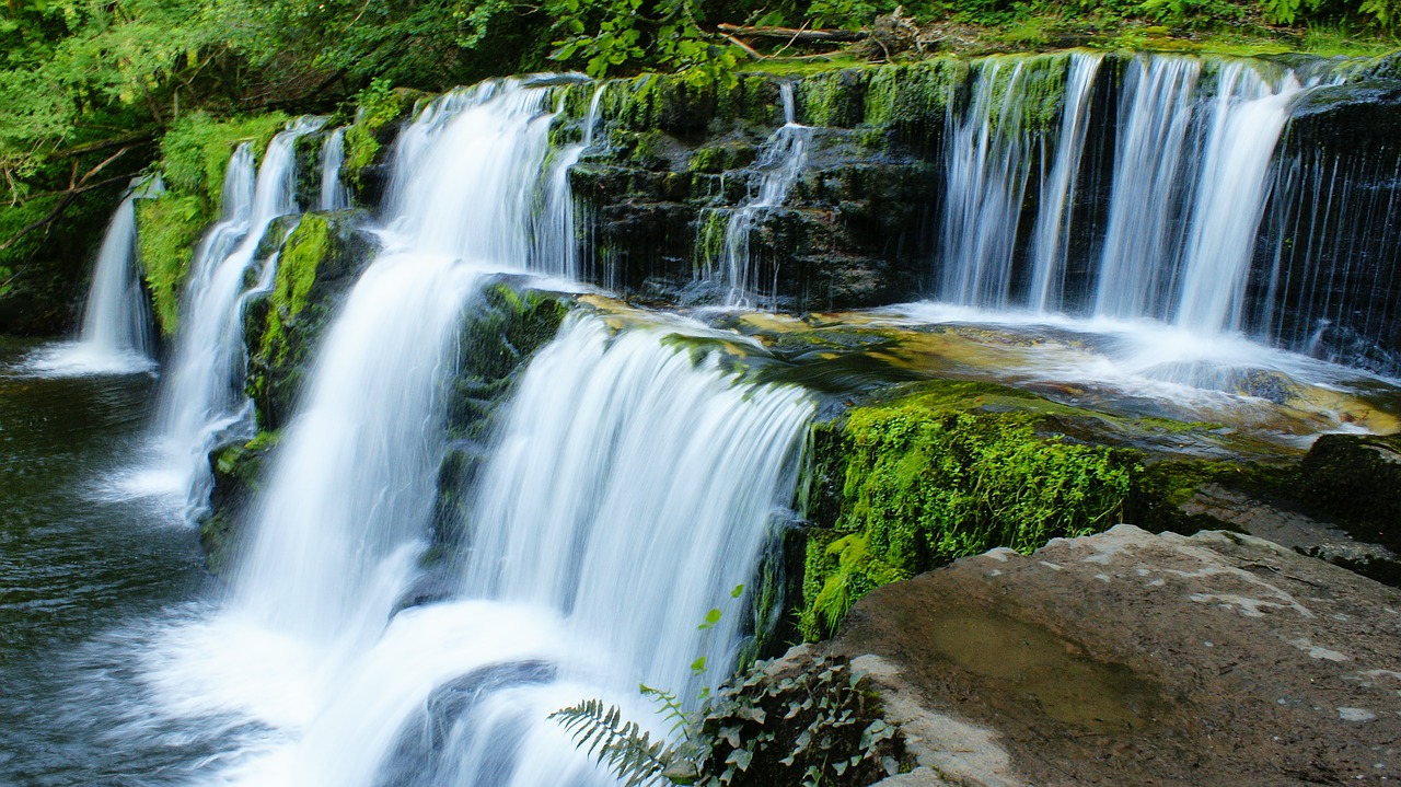 waterfall moss nature free photo