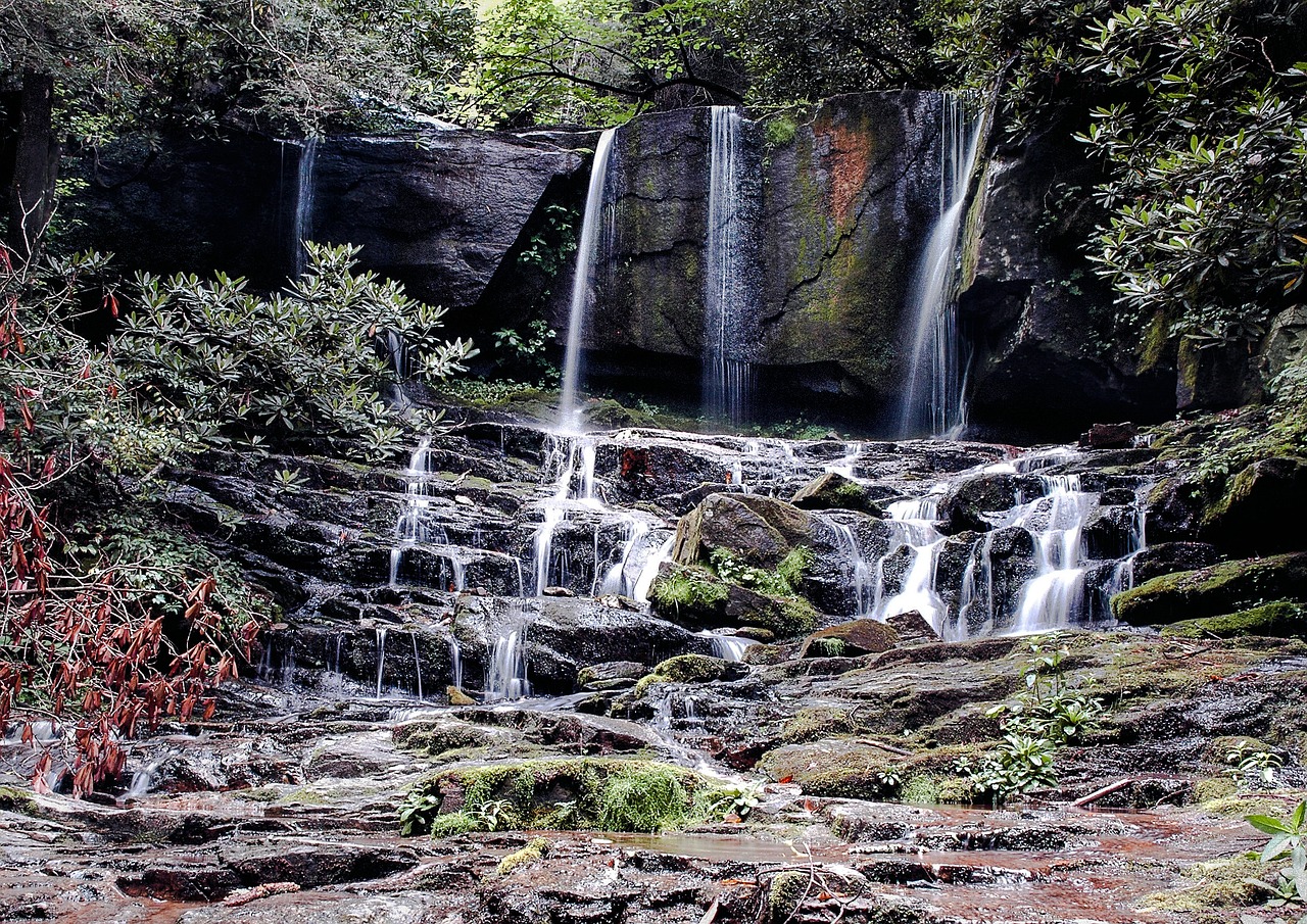 waterfall river water free photo